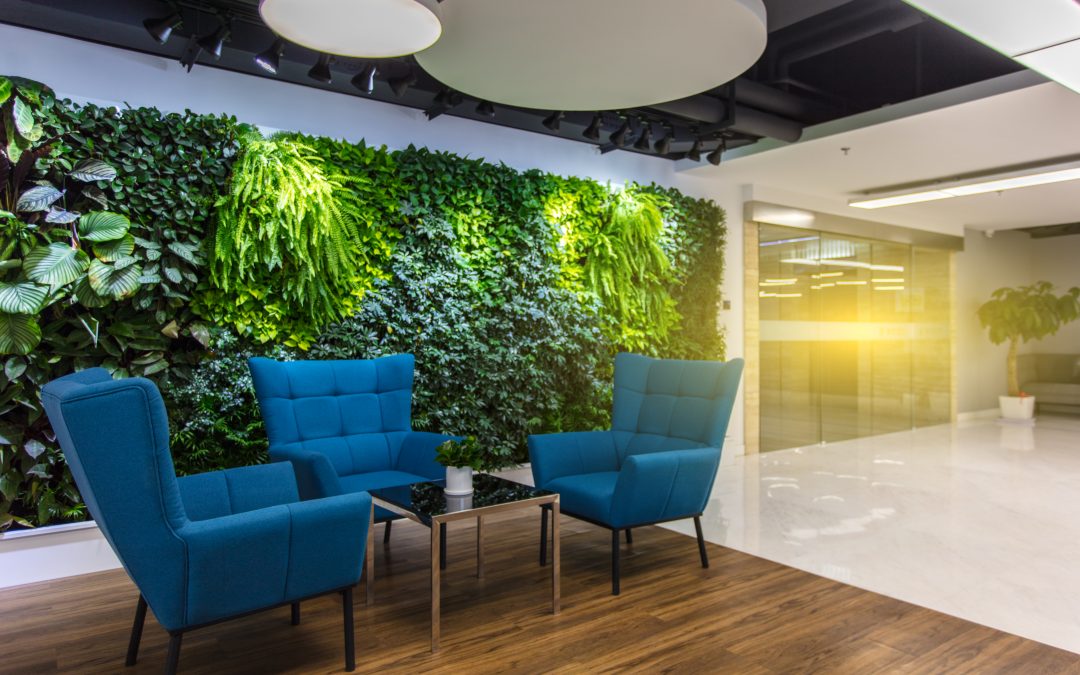 office chairs and plant wall